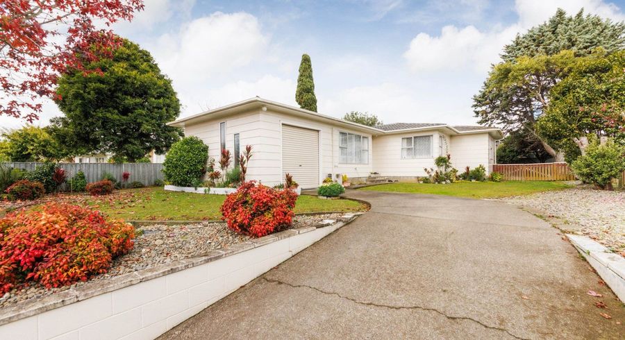  at 70 Meadowvale Drive, Levin, Levin