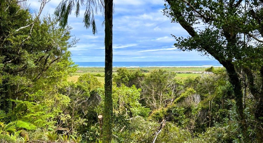  at 3/1290 Tanglefern Row, Charleston, Buller, West Coast