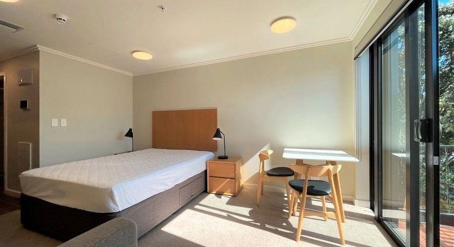  at 3.10/30 Owen St, Newtown, Wellington, Wellington