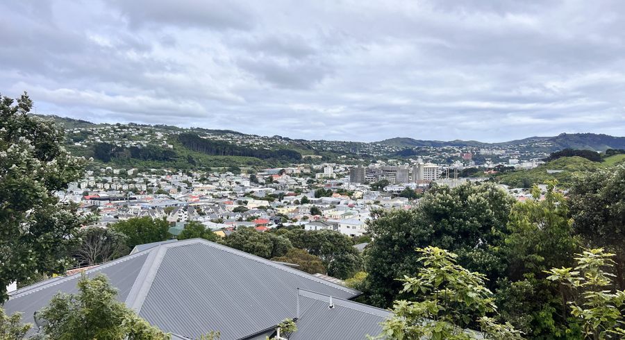  at 1/141 Coromandel Street, Newtown, Wellington, Wellington