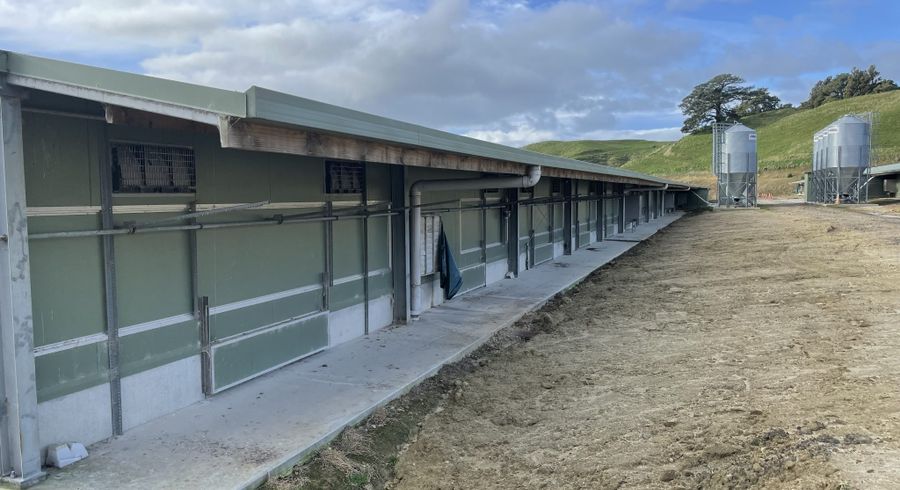  at 60 Paparamu Road, Paparamu, Tirau, South Waikato, Waikato