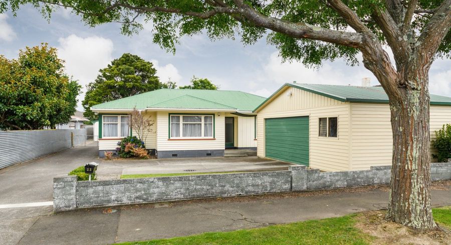  at 23 Limbrick Street, Terrace End, Palmerston North
