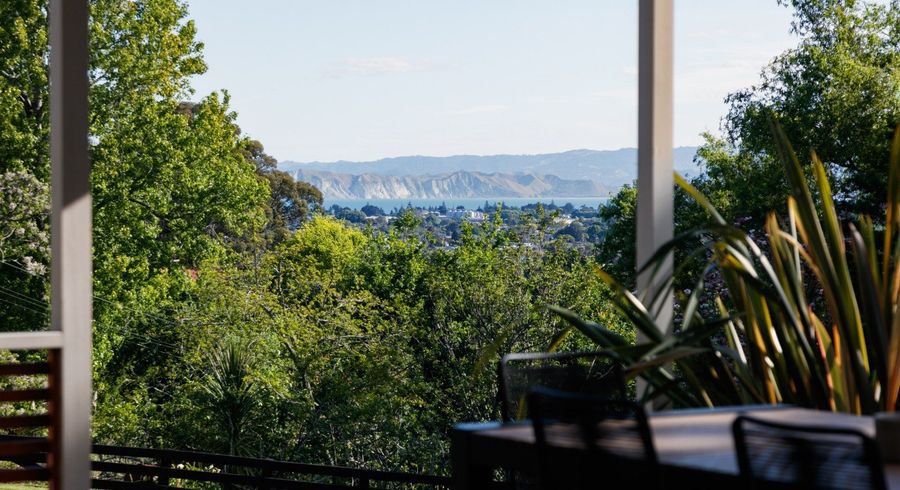  at 49 Ayton Street, Mangapapa, Gisborne