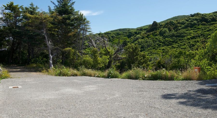  at 52A Dungarvan Road, Newlands, Wellington, Wellington