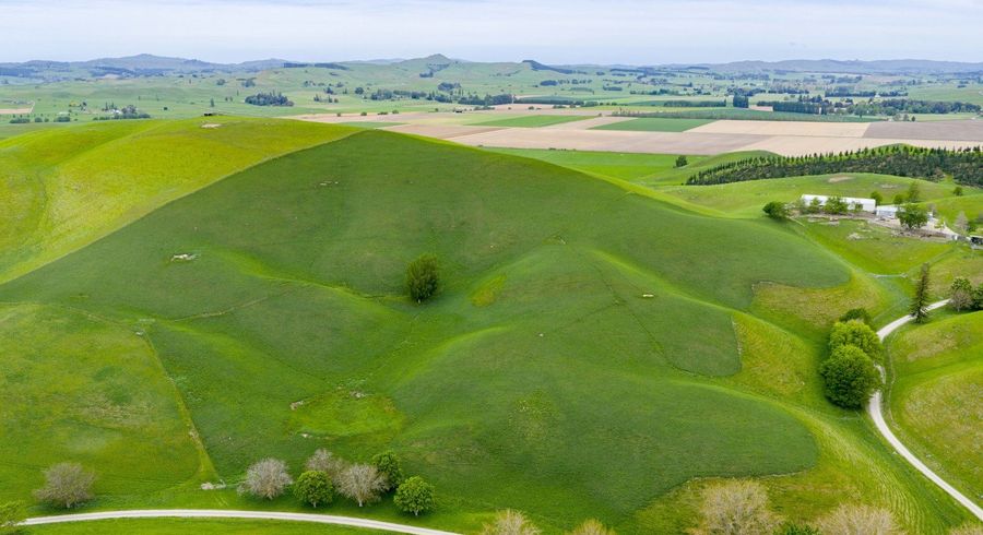  at Corner Te Aute Trust Road and Aupaki Road, Poukawa, Hastings, Hawke's Bay