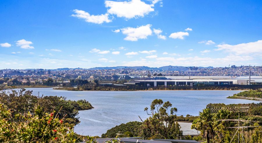  at 60 Hillside Road, Mount Wellington, Auckland City, Auckland