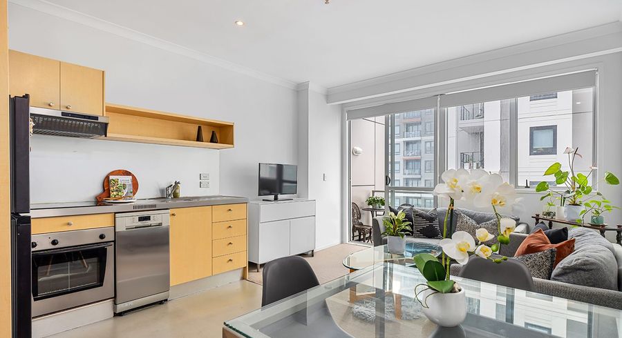  at 527/149 Nelson Street, City Centre, Auckland City, Auckland