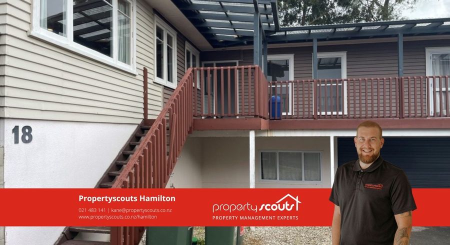  at 18 Alison Street, Hamilton Lake, Hamilton, Waikato