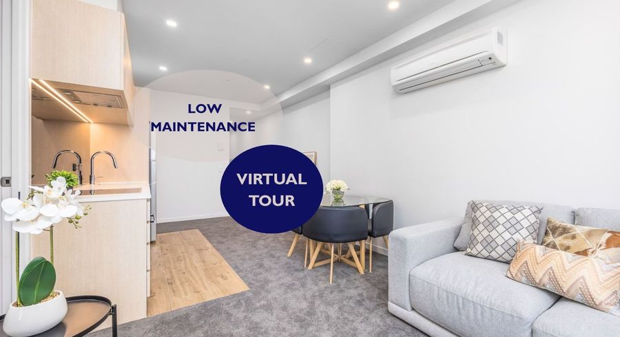  at 117/428 Dominion Rd, Mount Eden, Auckland City, Auckland