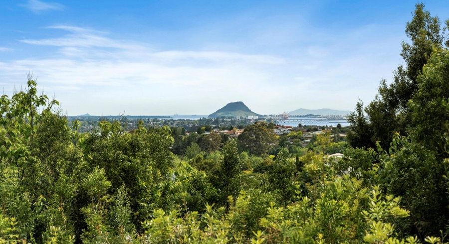  at 50 Upper Ohauiti Road, Ohauiti, Tauranga, Bay Of Plenty