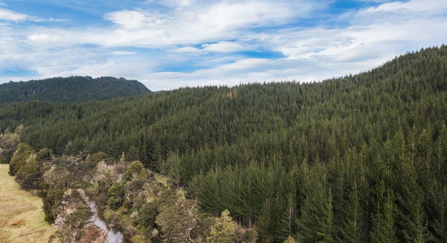  at SH 1 Wayby, Wellsford, Rodney, Auckland