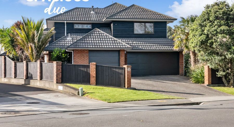  at 45 Rossiter Avenue, Waterloo, Lower Hutt