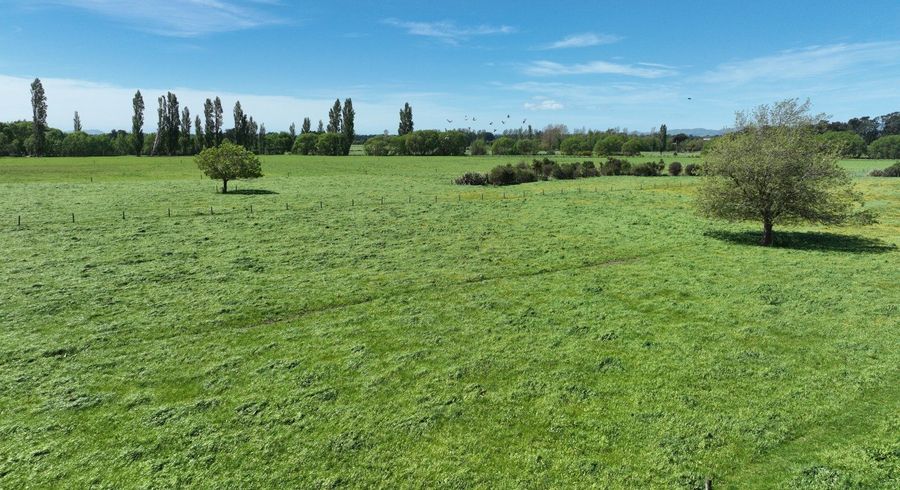  at Lot 2, 382 Dalefield Road, Carterton, Carterton, Wellington