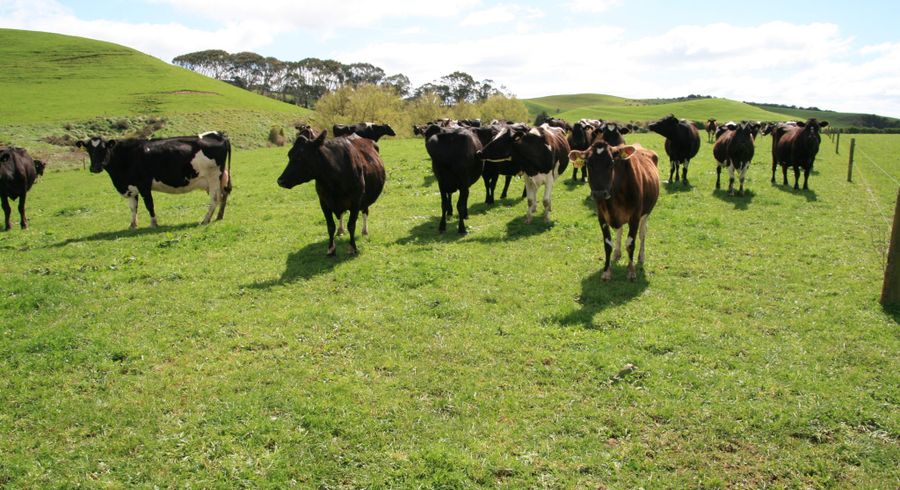  at 96 Lower Hunter Road, Hawera, South Taranaki, Taranaki