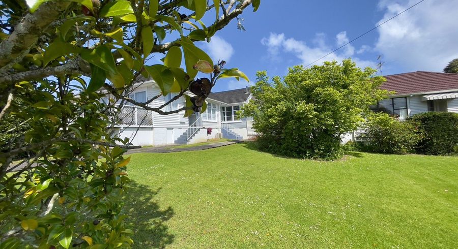  at 4 Novar Place, Point Chevalier, Auckland