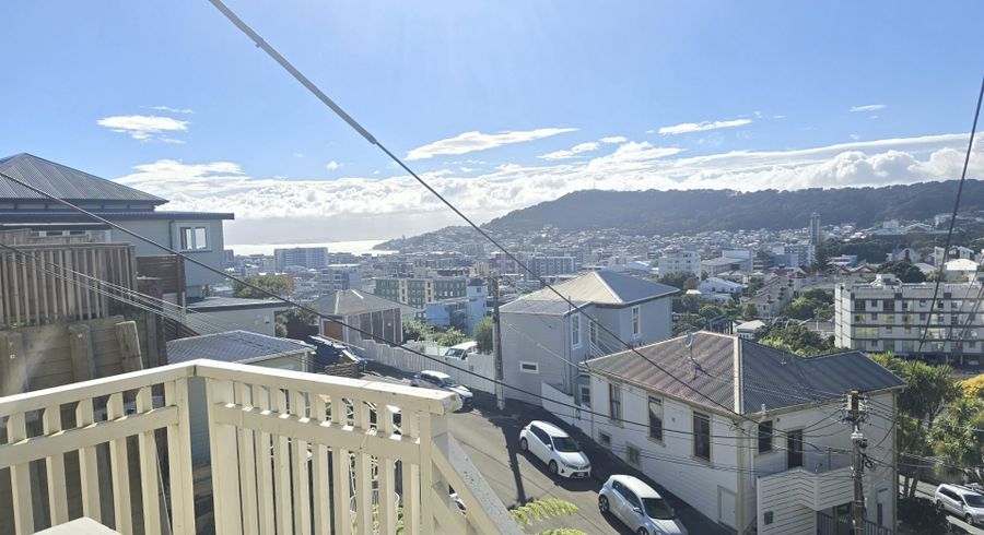  at 3 Maarama Cres (Lower Flat), Aro Valley, Wellington, Wellington