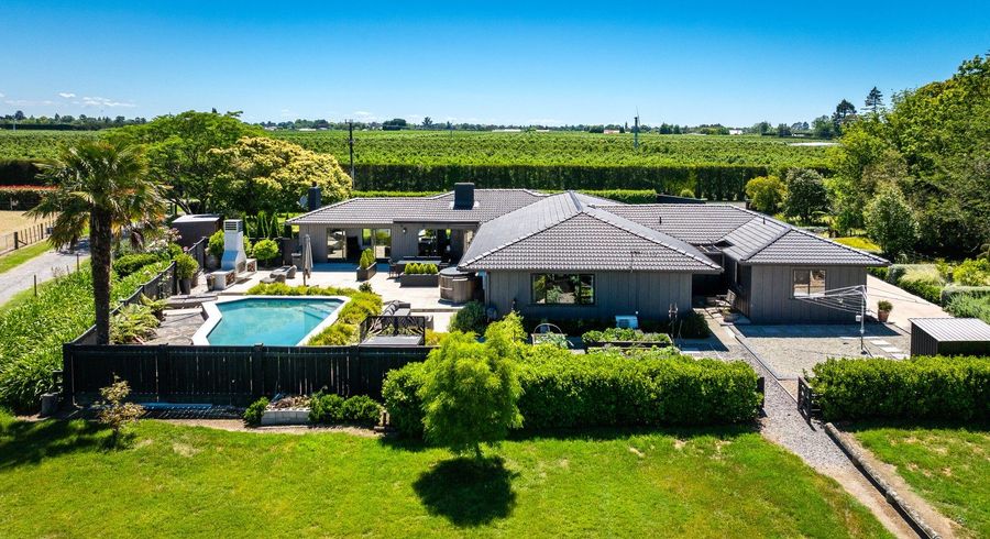  at 77 Algernon Road, Longlands, Hastings, Hawke's Bay