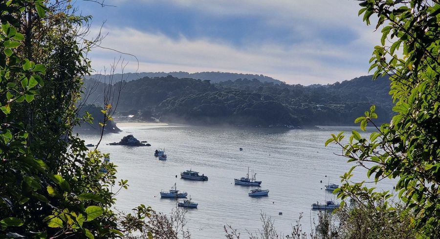  at 20 Kaka Ridge Road, Stewart Island, Southland, Southland