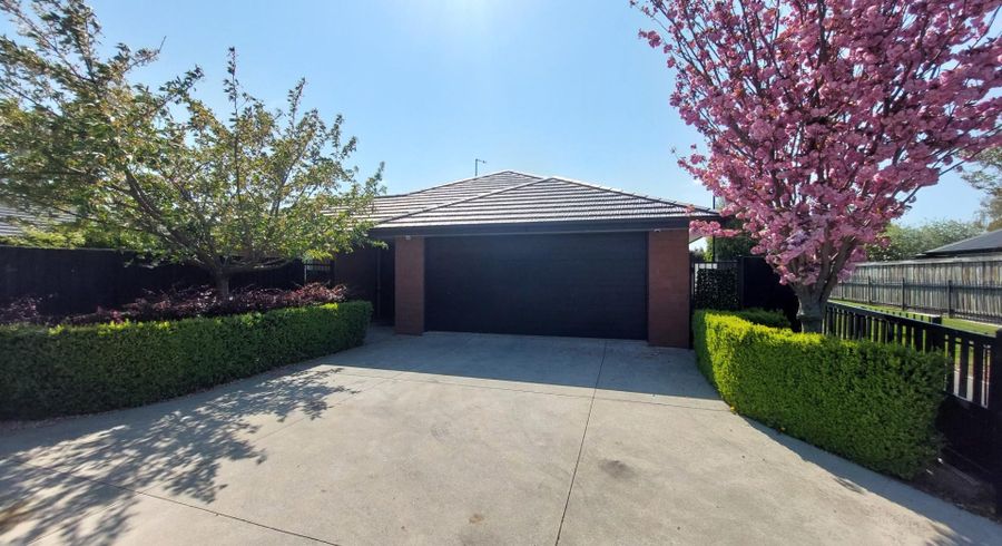  at 19 McDermott Place, Halswell, Christchurch City, Canterbury