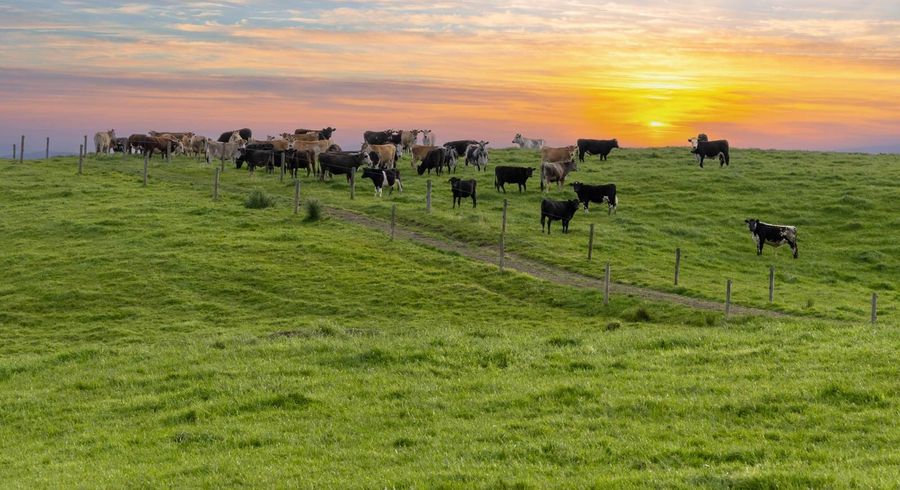  at 122 Evans Road, Helensville, Rodney, Auckland