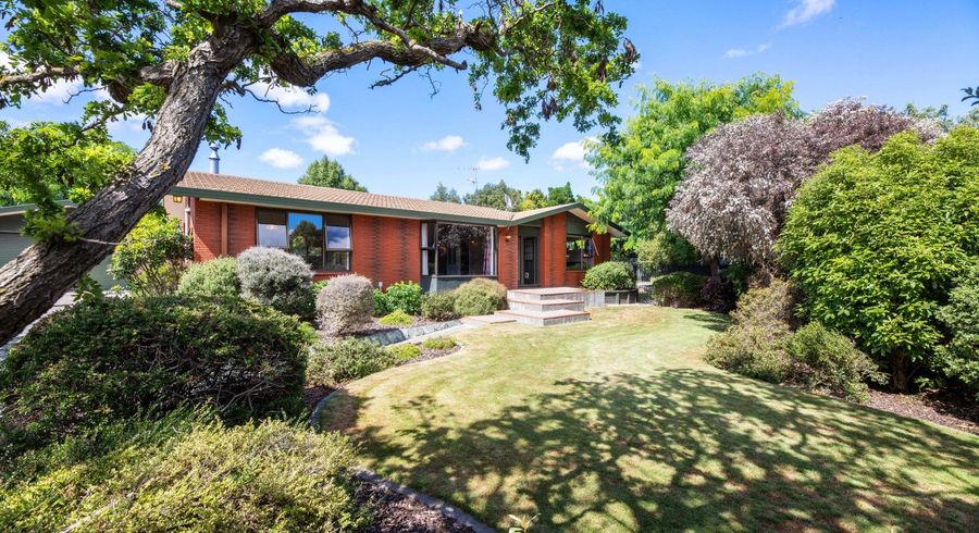  at 14 Carlyle Crescent, Witherlea, Blenheim