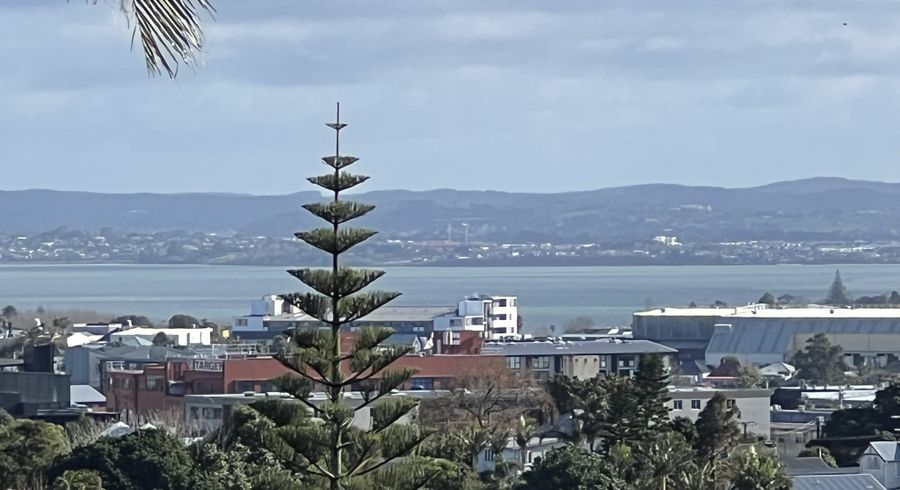  at 11 Lovelock Avenue, Mount Eden, Auckland City, Auckland