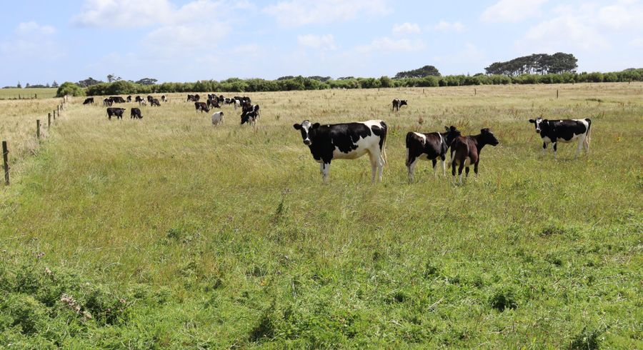  at 3979 South Road, Opunake, South Taranaki, Taranaki