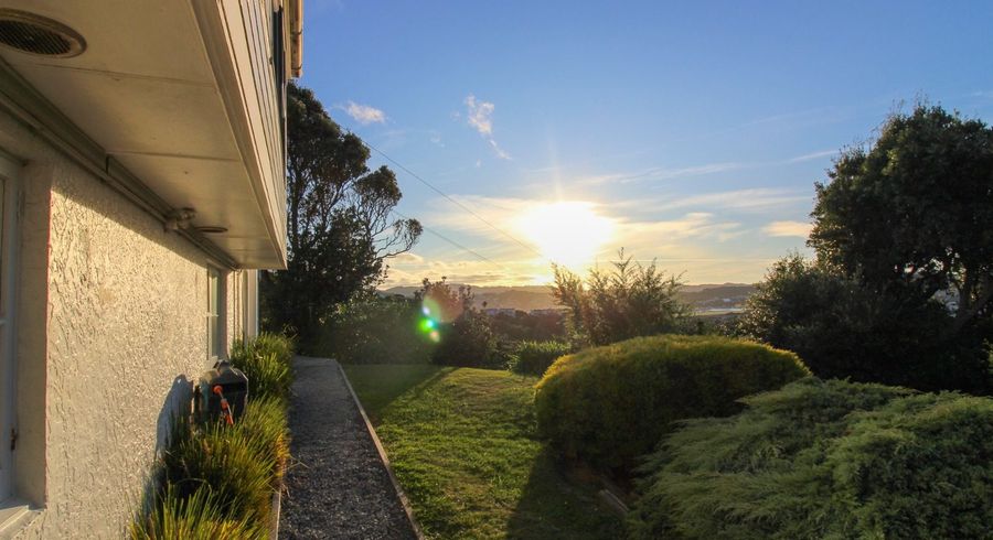  at 1a Sidlaw Street, Strathmore Park, Wellington, Wellington