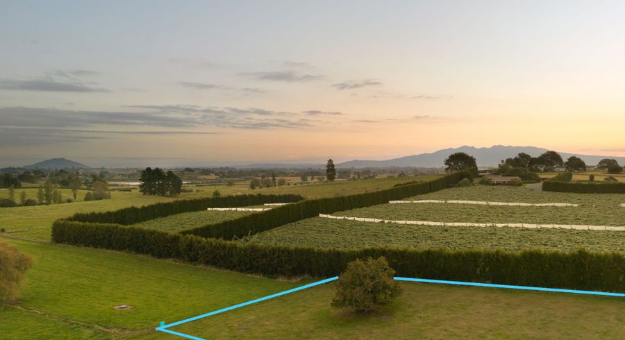  at 55 Forkert Road, Ohaupo, Waipa, Waikato