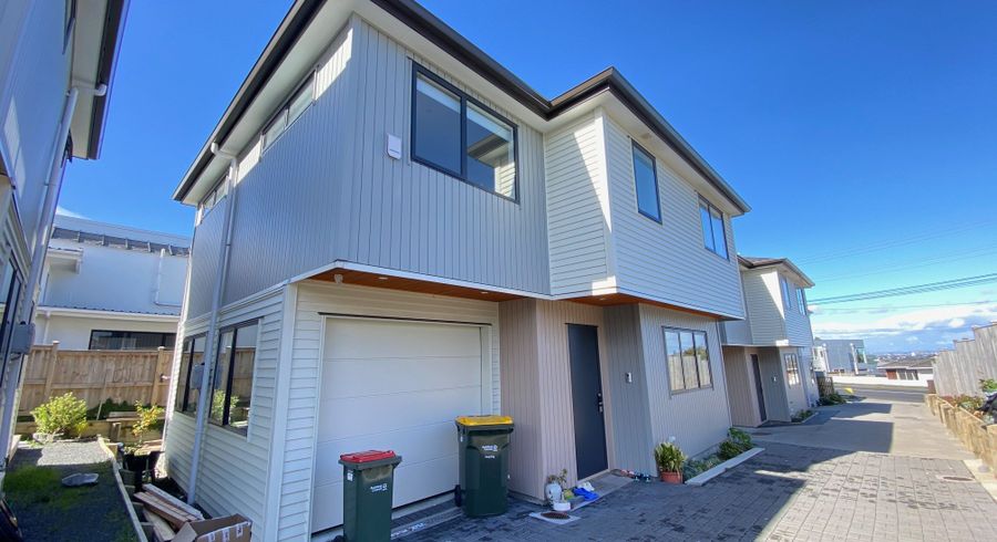  at 106A Coronation Road, Hillcrest, Auckland