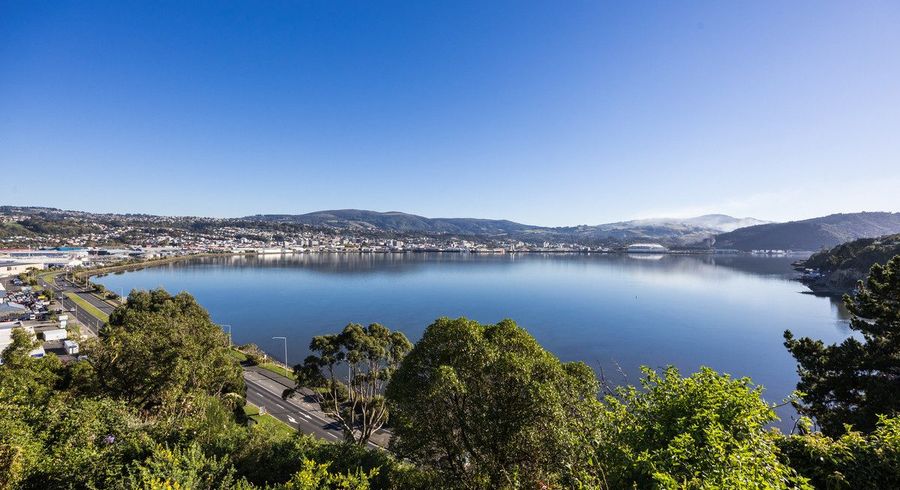  at 20 Rewa Street, Musselburgh, Dunedin, Otago