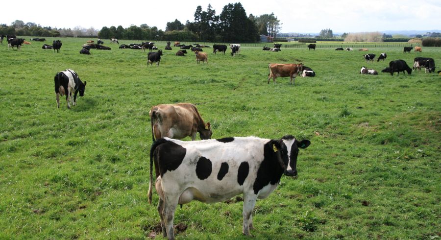  at 2403 Mountain Road, Tariki, New Plymouth, Taranaki