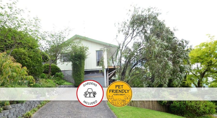  at 19 Paremata Street, Atawhai, Nelson, Nelson / Tasman