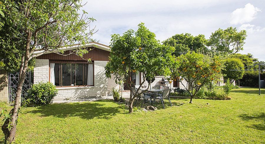  at 156 Fox Street, Whataupoko, Gisborne