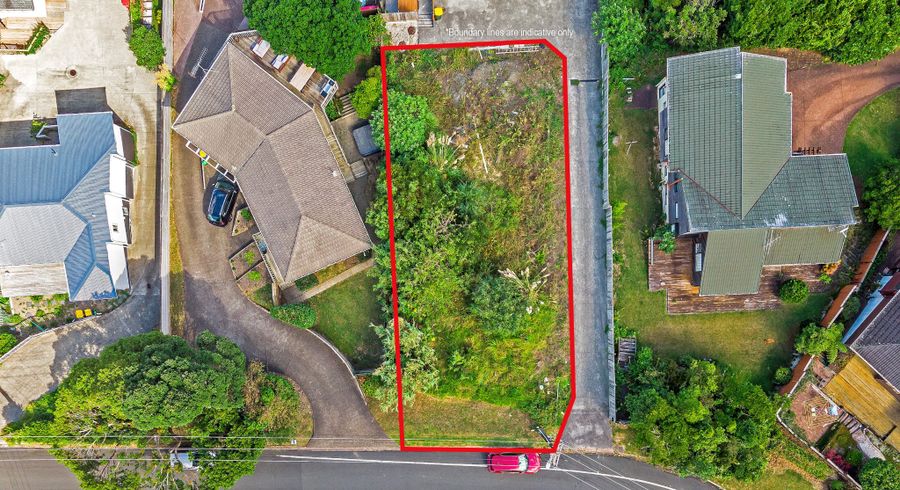  at 68 Hastings Road, Mairangi Bay, North Shore City, Auckland