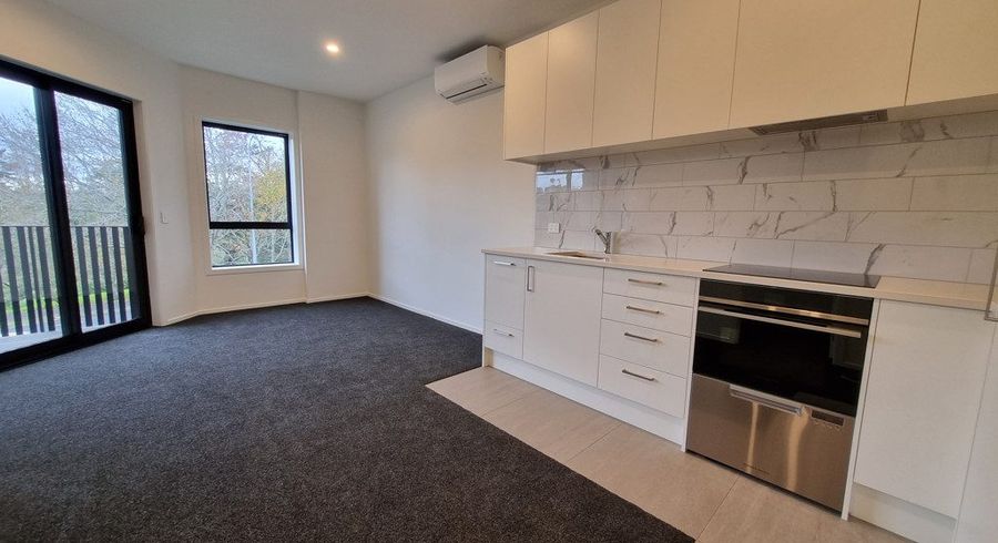  at 111/1A Oakley Ave, Waterview, Auckland City, Auckland