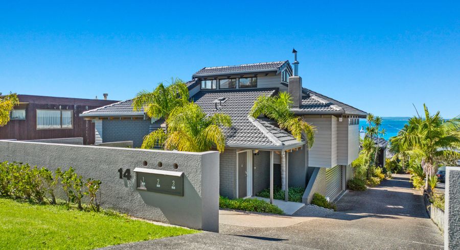  at 1/14 Marama Street, Castor Bay, Auckland