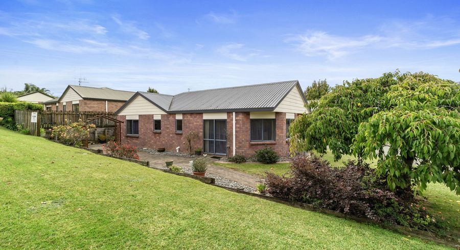  at 62 Brymer Road, Grandview Heights, Hamilton, Waikato