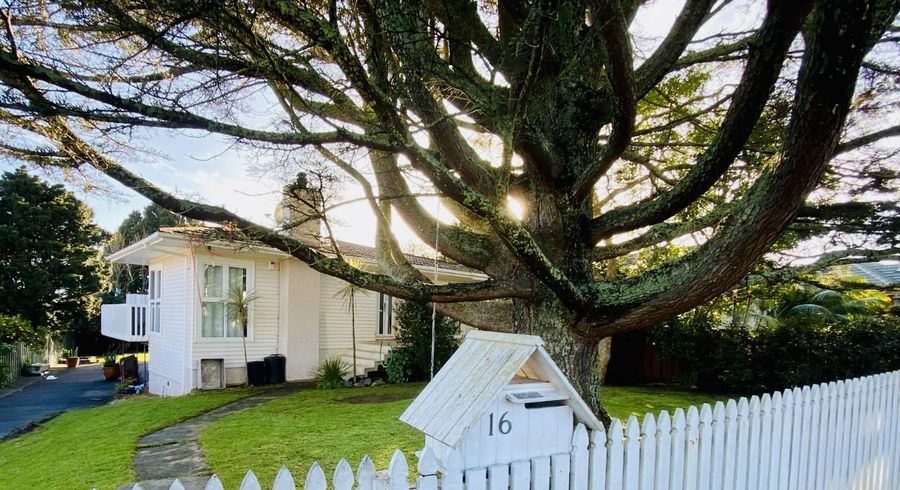 at 16 Whitehaven Road, Glendowie, Auckland City, Auckland