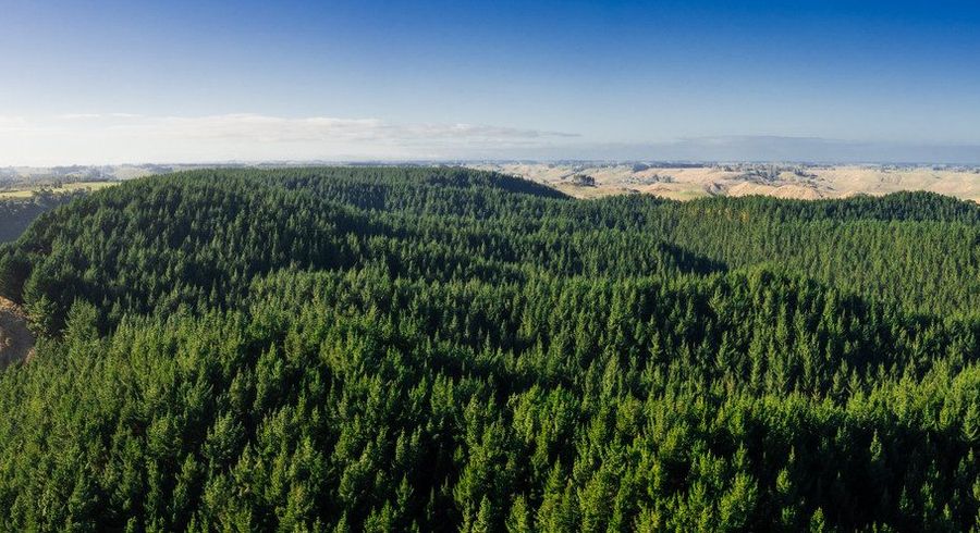  at Okoia Forests 1 & 2, Okoia, Whanganui, Manawatu / Whanganui