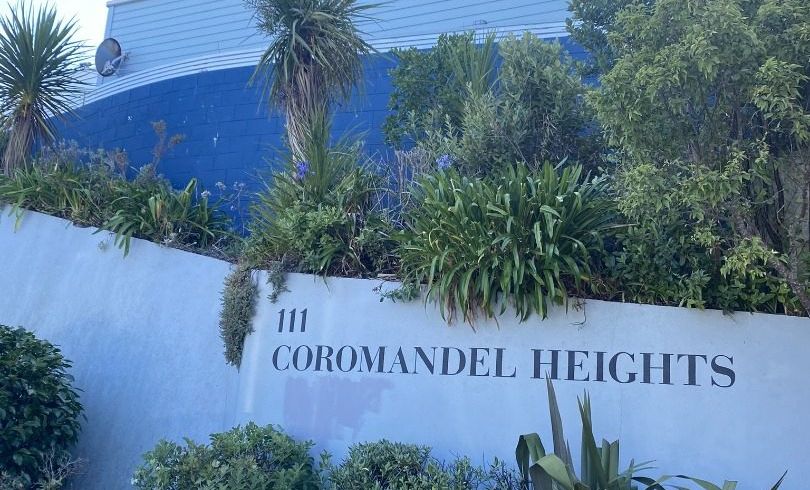  at 3/111 Coromandel Street, Newtown, Wellington, Wellington