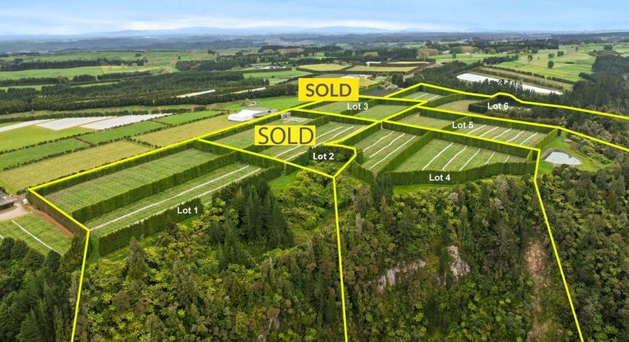 at 1010 Te Matai Road, Te Puke, Western Bay Of Plenty, Bay Of Plenty