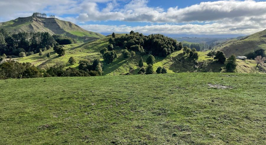  at 38 Ruhi Road, Dannevirke