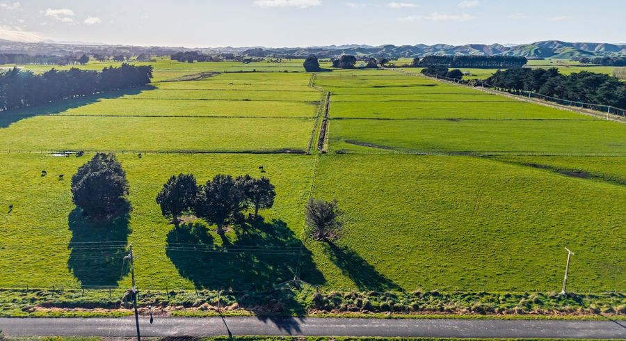  at 40 Bowman Road, Woodville, Tararua, Manawatu / Whanganui