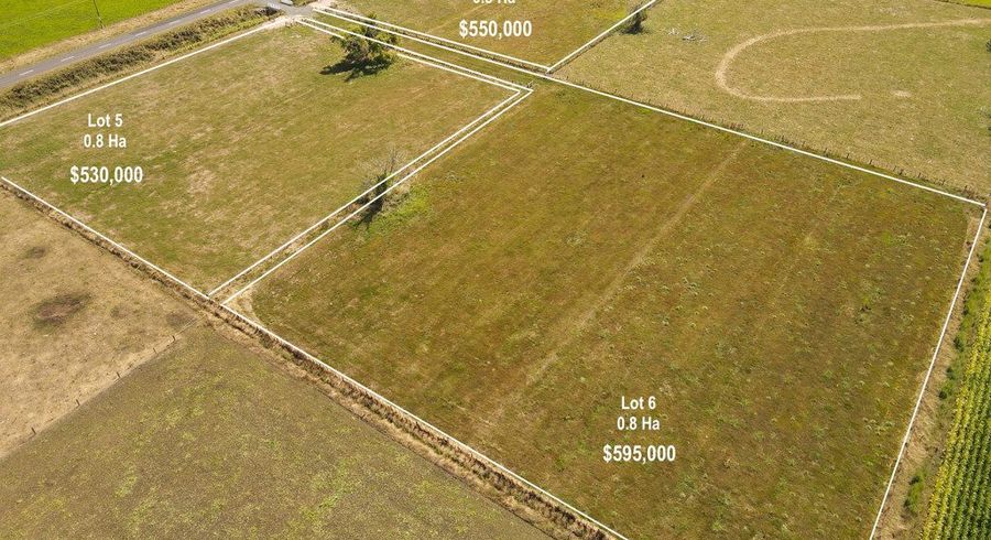  at 502A Tenfoot Road, Taupiri, Waikato, Waikato