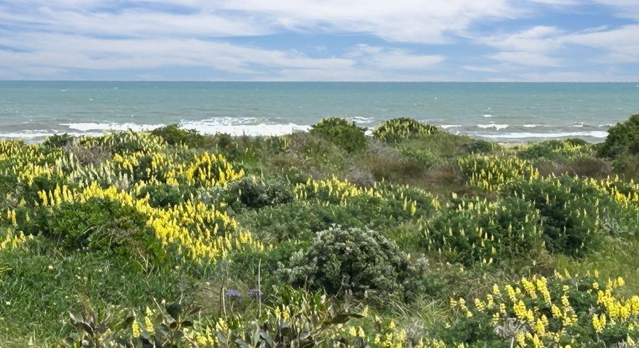  at 7 Kent Avenue, Waitarere Beach, Horowhenua, Manawatu / Whanganui