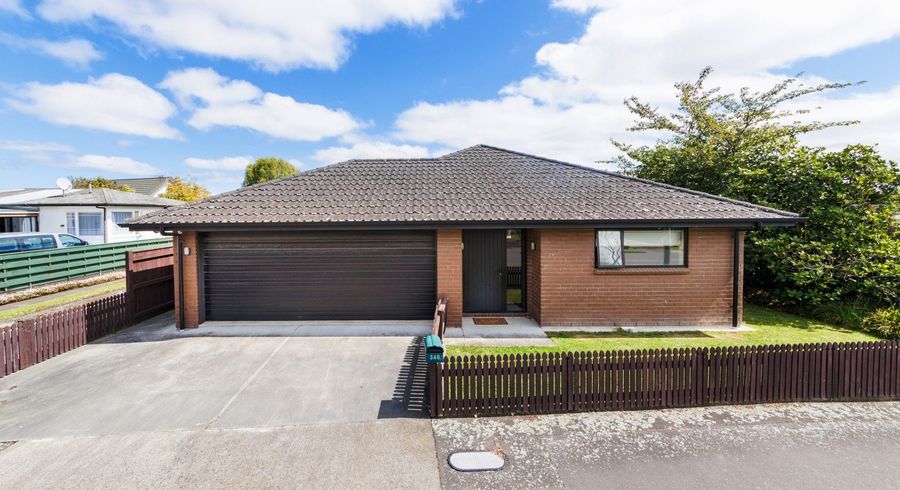  at 346 Ruahine Street, Terrace End, Palmerston North