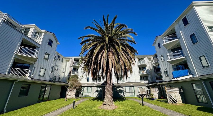  at D14/13 Palm Grove, Berhampore, Wellington, Wellington