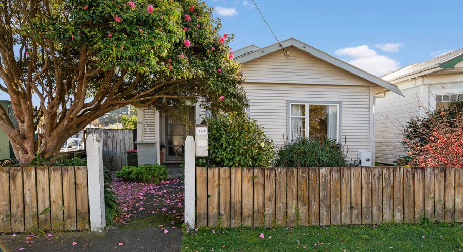  at 123 Richmond Street, Petone, Lower Hutt