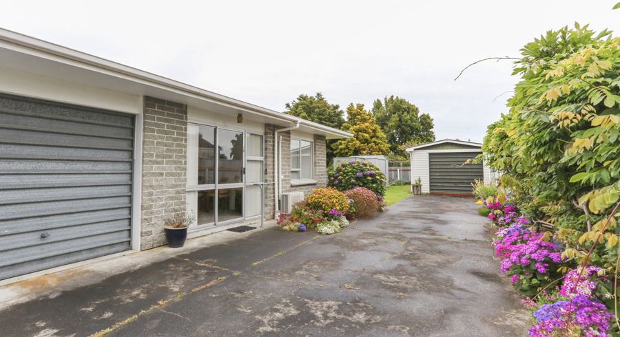  at 8B Bryant Street, Takaro, Palmerston North